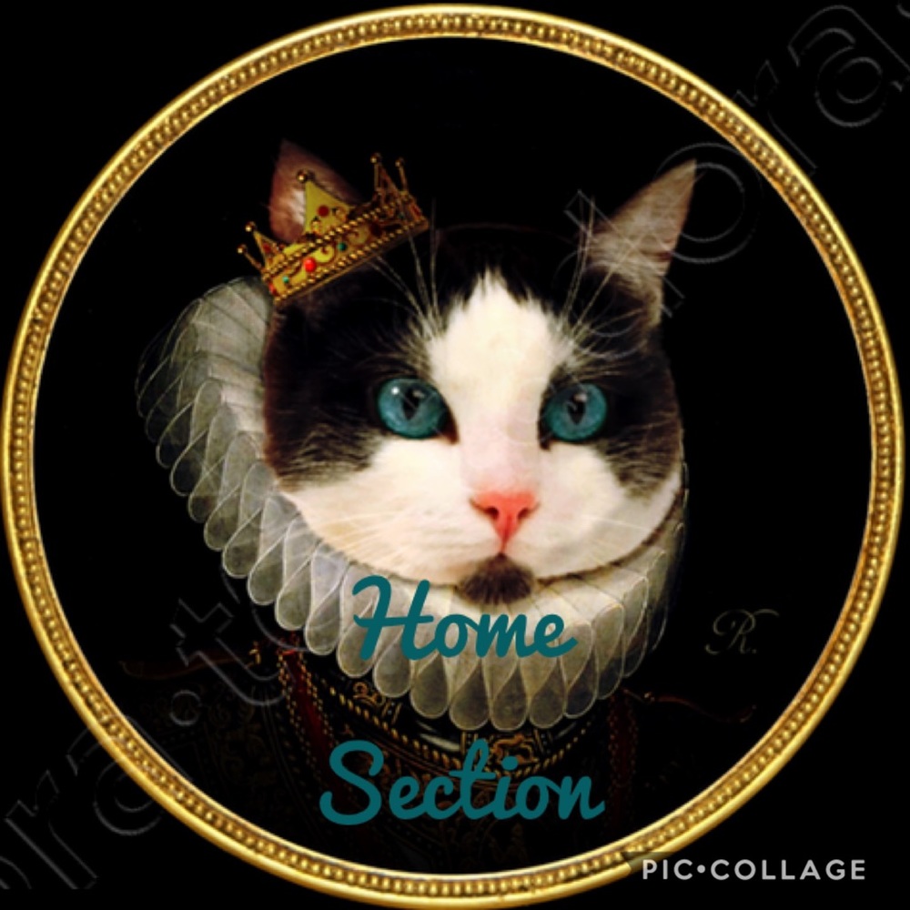 Home Section